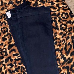 Cello Pull-On Flare Jeans